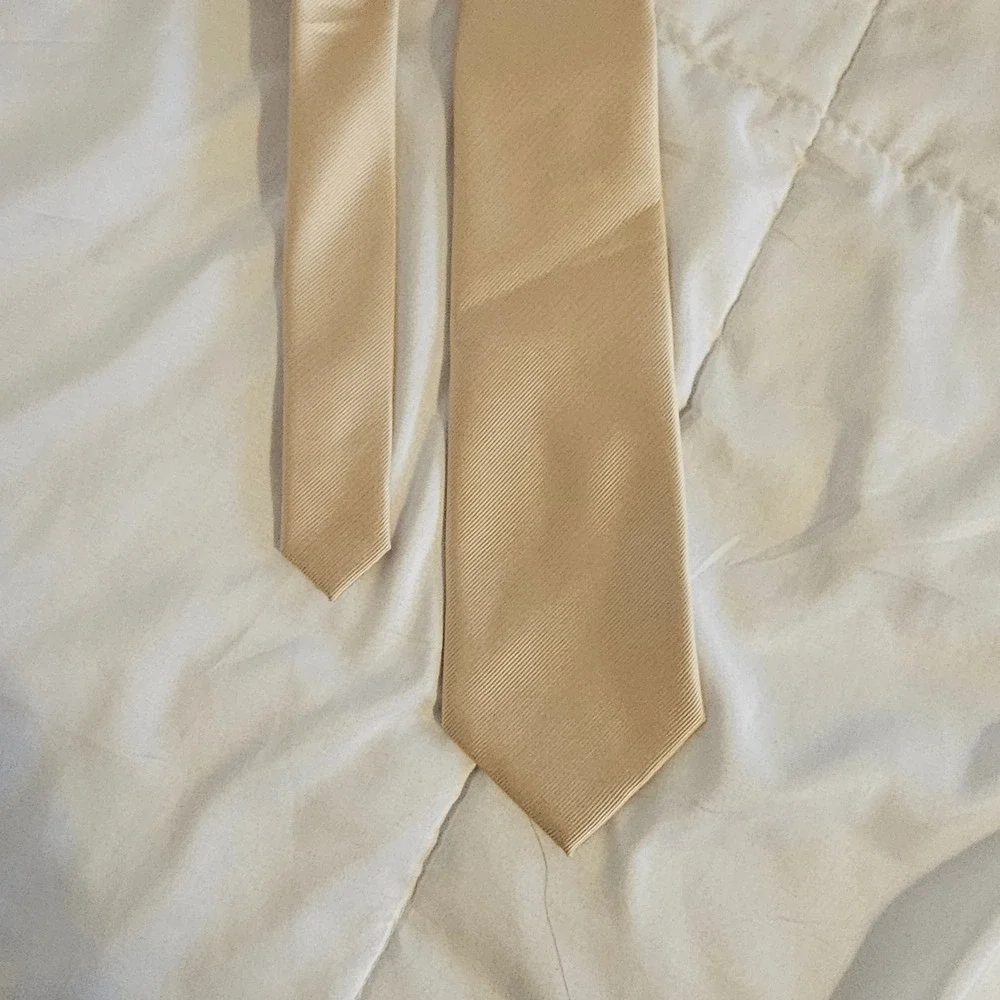 Elegant Champagne Gold Textured‎ Necktie for Men Formal Business Accessory
